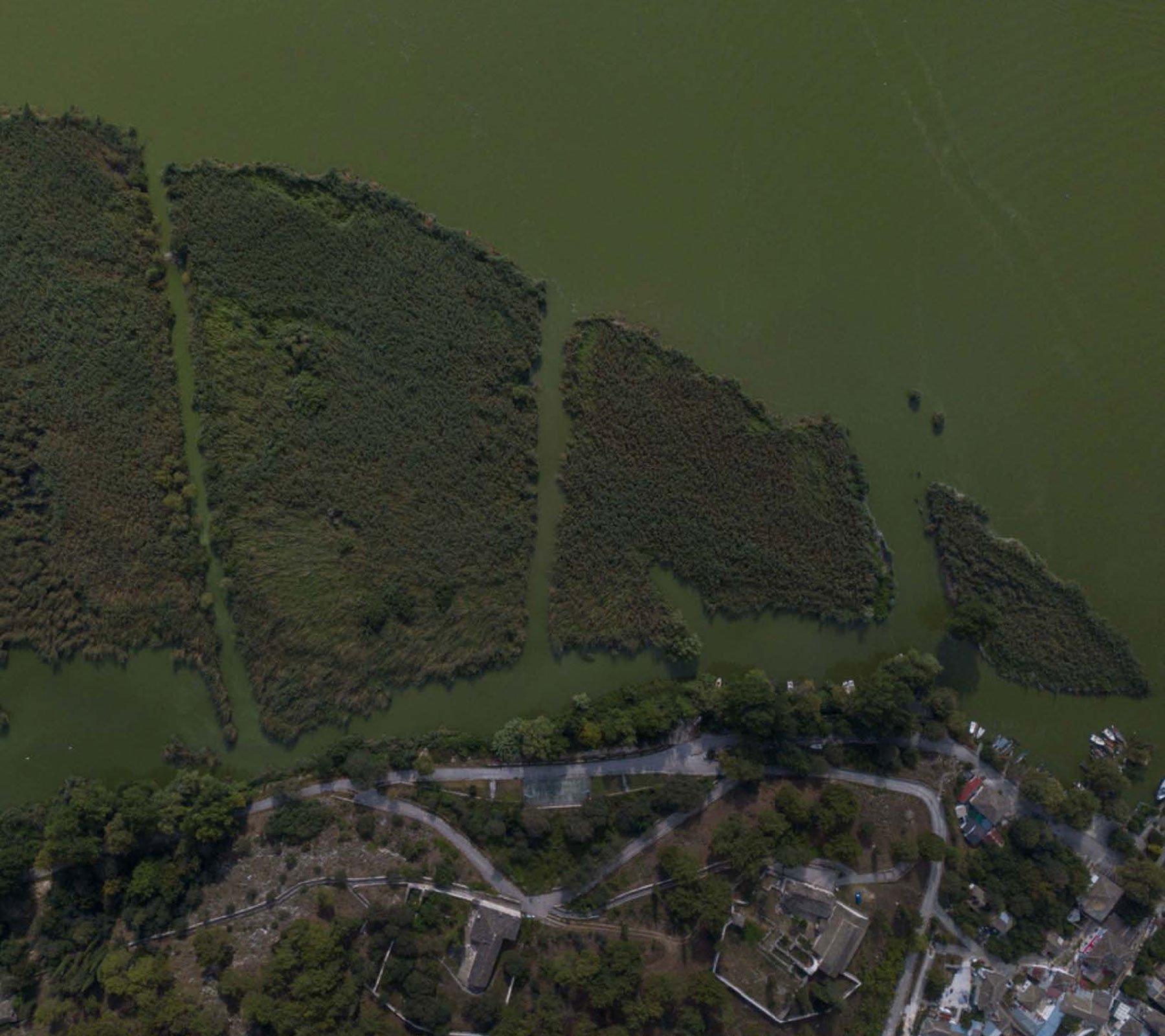 THE UNIQUE HABITABLE ISLAND WITHOUT A NAME IN PAMVOTIS LAKE